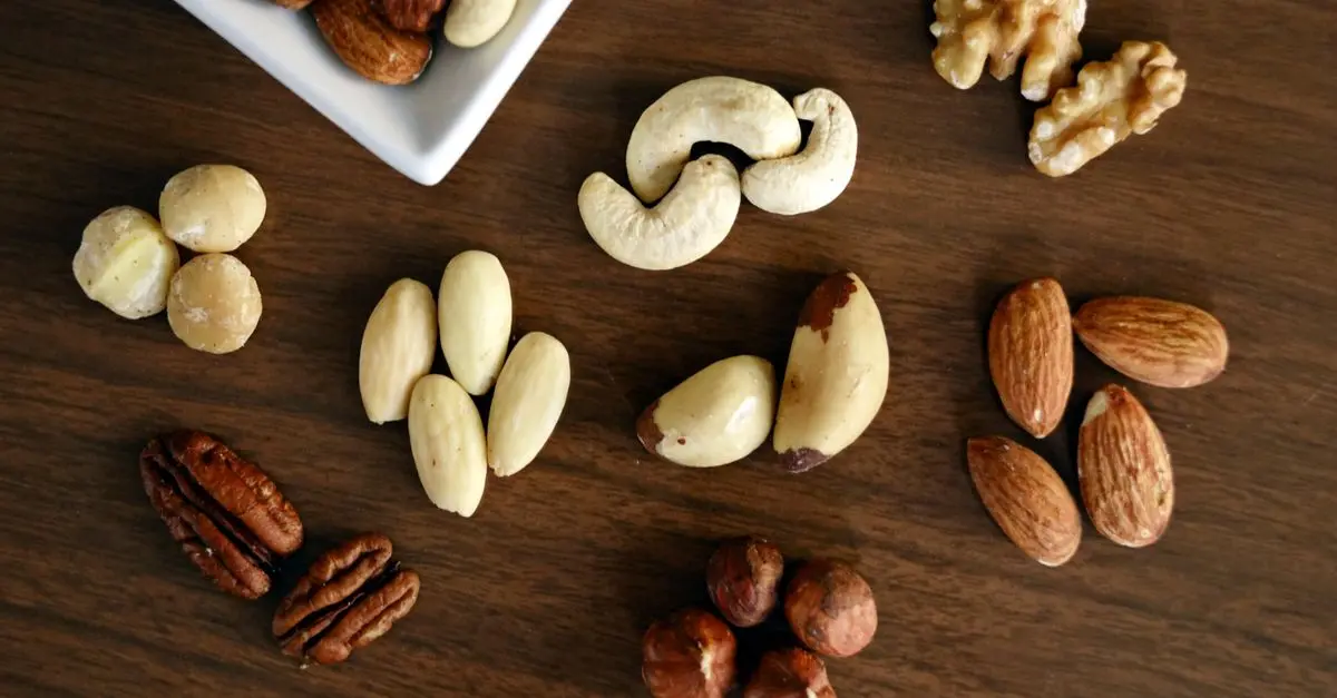 Les Protéines Végétales en Cuisine Paléo : Comment les Utiliser