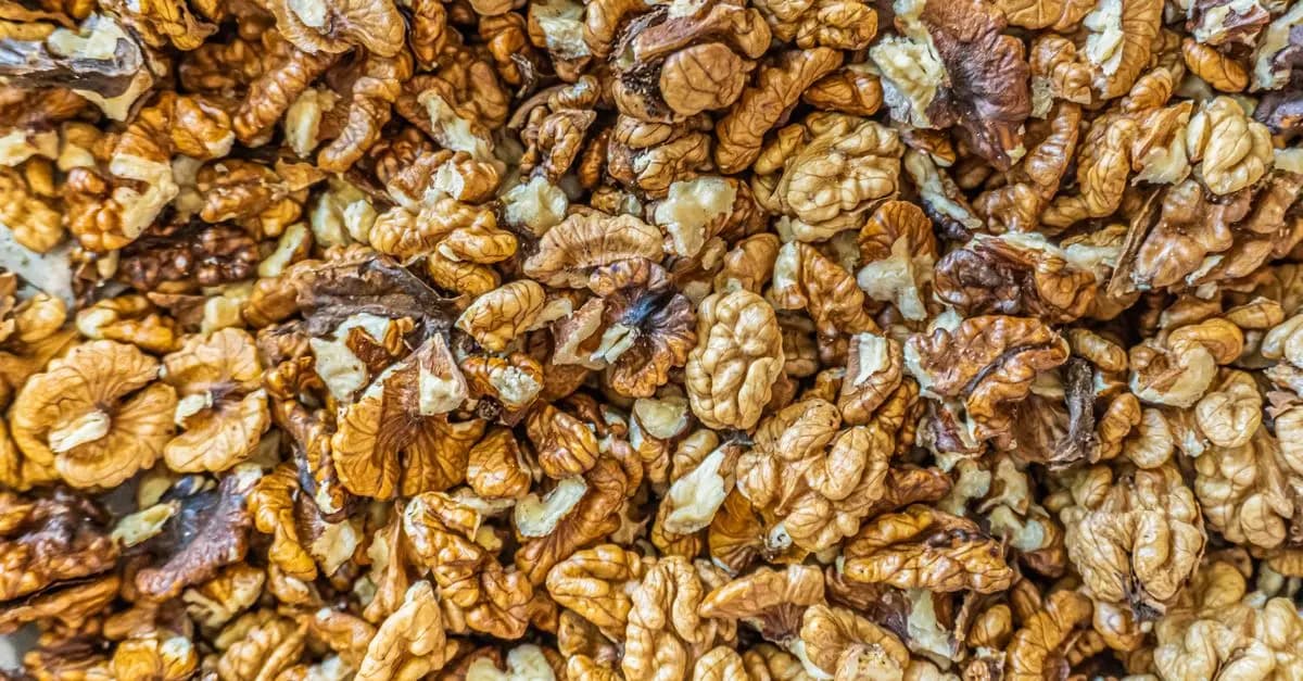 Comment Intégrer un En-cas Paléo dans Votre Journée