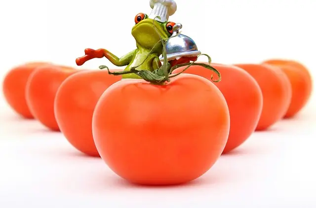7 Astuces pour Optimiser vos Repas Paléo Facilement