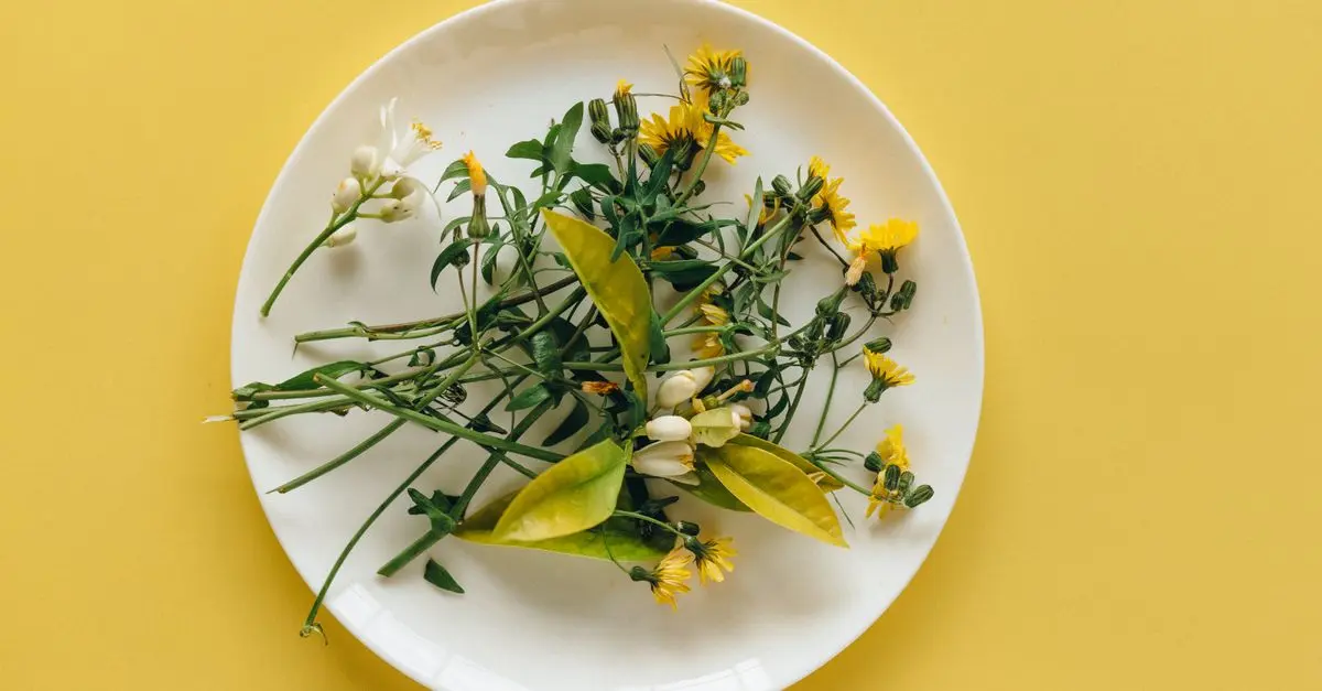 Guide Pratique pour Préparer des Fleurs de Courgette Paléo