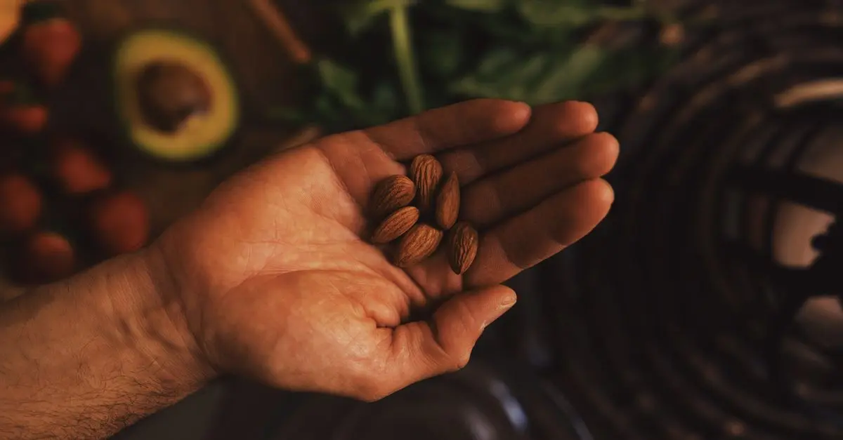 Paléo vs Keto : Quelle Diète Choisir ?