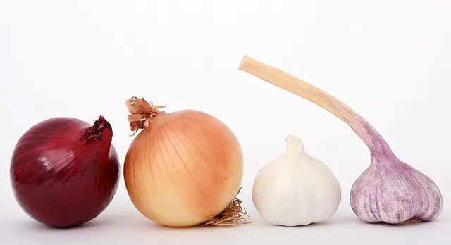 L'importance des Aliments Locaux en Cuisine Paléo