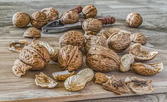 Les 10 Aliments Paléo Indispensables à Avoir dans Votre Cuisine