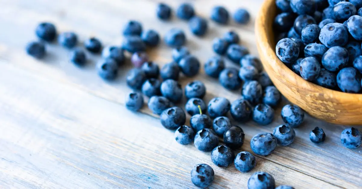Les Bienfaits des Superaliments en Cuisine Paléo