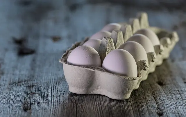 Les 10 Meilleures Astuces pour Cuisiner Paléo Efficacement