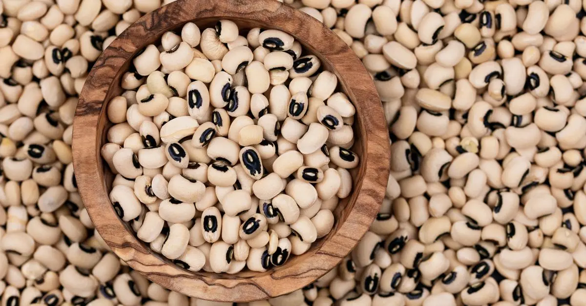 La Place des Légumineuses dans une Alimentation Paléo