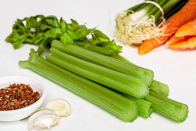 Les Meilleures Recettes Paléo pour des Dîners Équilibrés