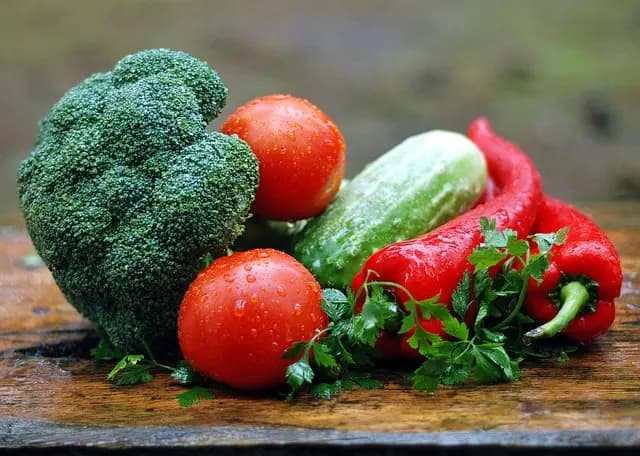 Les Valeurs Nutritionnelles des Aliments Paléo à Connaître