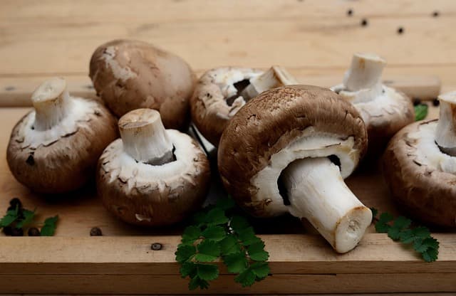 Les Bienfaits Insoupçonnés des Légumes Fermentés en Cuisine Paléo