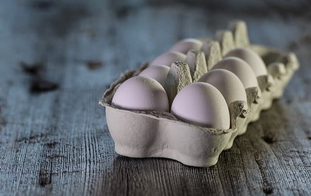 Les Secrets de la Cuisine Paléo : Guide Complet pour Débutants