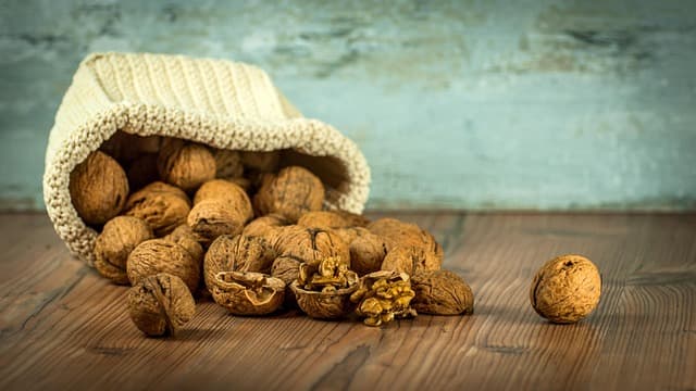 Les Meilleures Sources de Protéines en Cuisine Paléo