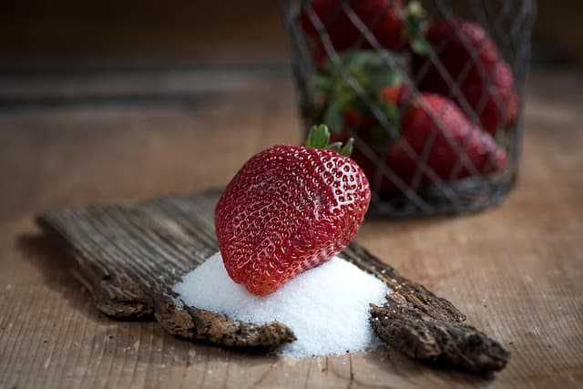 Comment Réussir des Desserts Paléo Sains et Savoureux