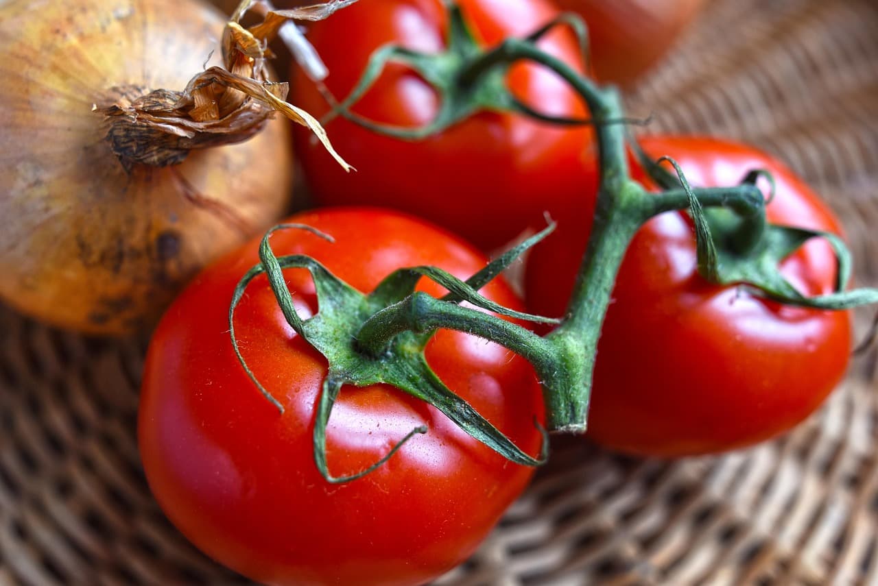 Comment Intégrer les Superaliments dans Votre Cuisine Paléo