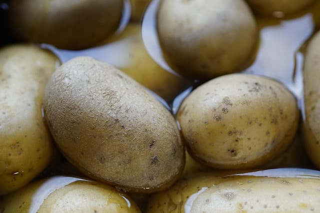 Les Secrets pour Maîtriser la Cuisine Paléo à Domicile