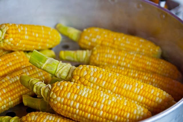 Les Ingrédients Clés pour Maîtriser la Cuisine Paléo